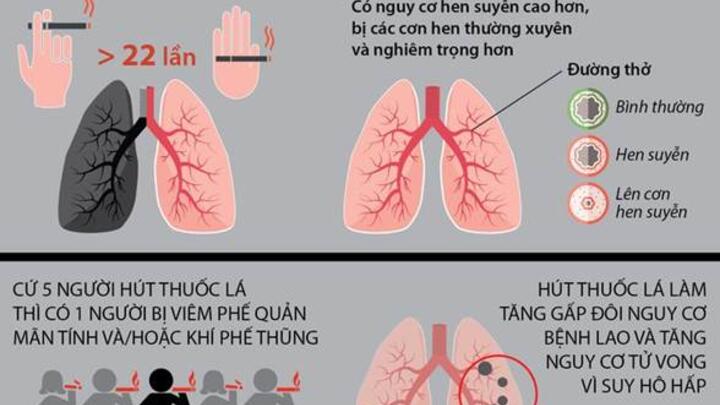 RƯỢU BIA VÀ THUỐC LÁ – “BỘ ĐÔI SÁT THỦ” ÂM THẦM HỦY HOẠI SỨC KHỎE
