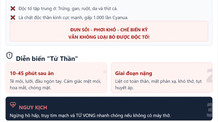 🚨 CẢNH BÁO ĐỎ: NGỘ ĐỘC CÁ NÓC – TỬ VONG TRONG TÍCH TẮC